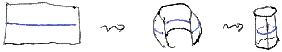 A rectangle with a horizontal blue line, then the same rectangle partially curled, then a finished cylinder with the blue line now a circle around it.