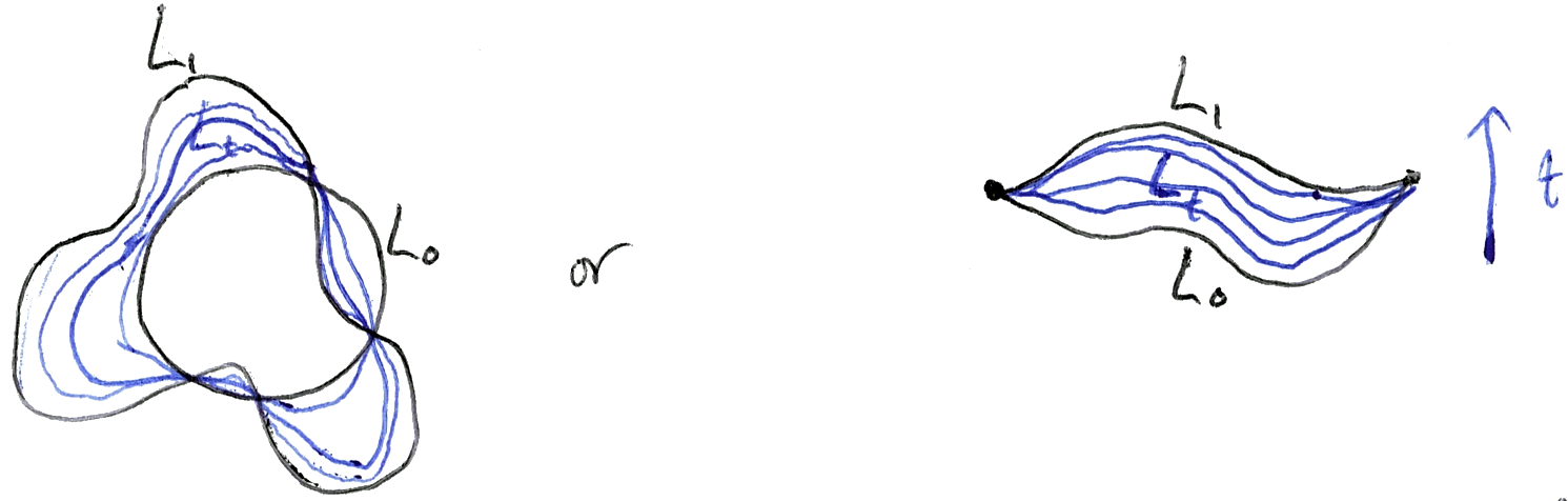 Two families of nested closed curves, each interpolating between an outer curve labelled L-nought and an inner curve labelled L-one, with an arrow labelled t indicating the direction of the deformation.