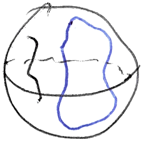 A sphere with two curves drawn on its surface: a blue one forming a closed loop, and a black one with two loose ends.