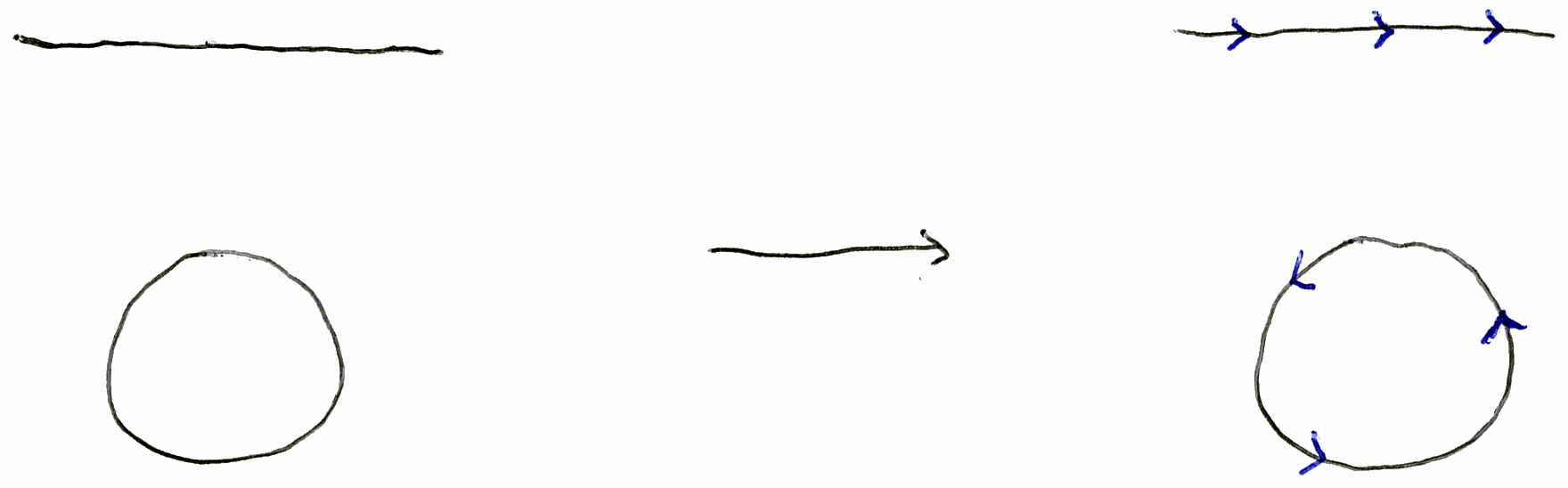 A straight line and a closed loop, each redrawn with small arrowheads along them all pointing the same way round.